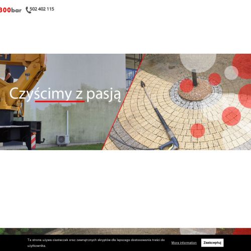 Czyszczenie dachów Poznań