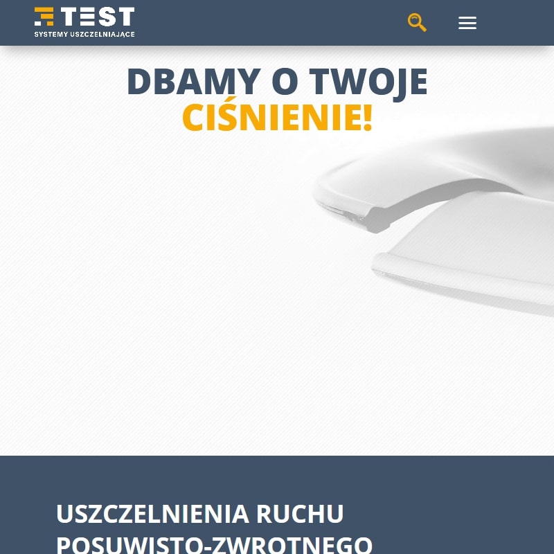 Uszczelnienia tłoczyskowe