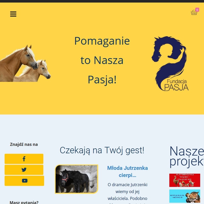 Fundacja pomocy psom