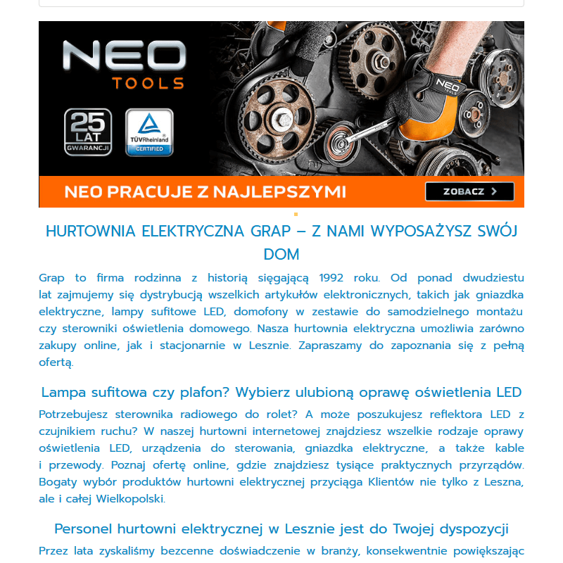 Wtyczka siłowa w Lesznie